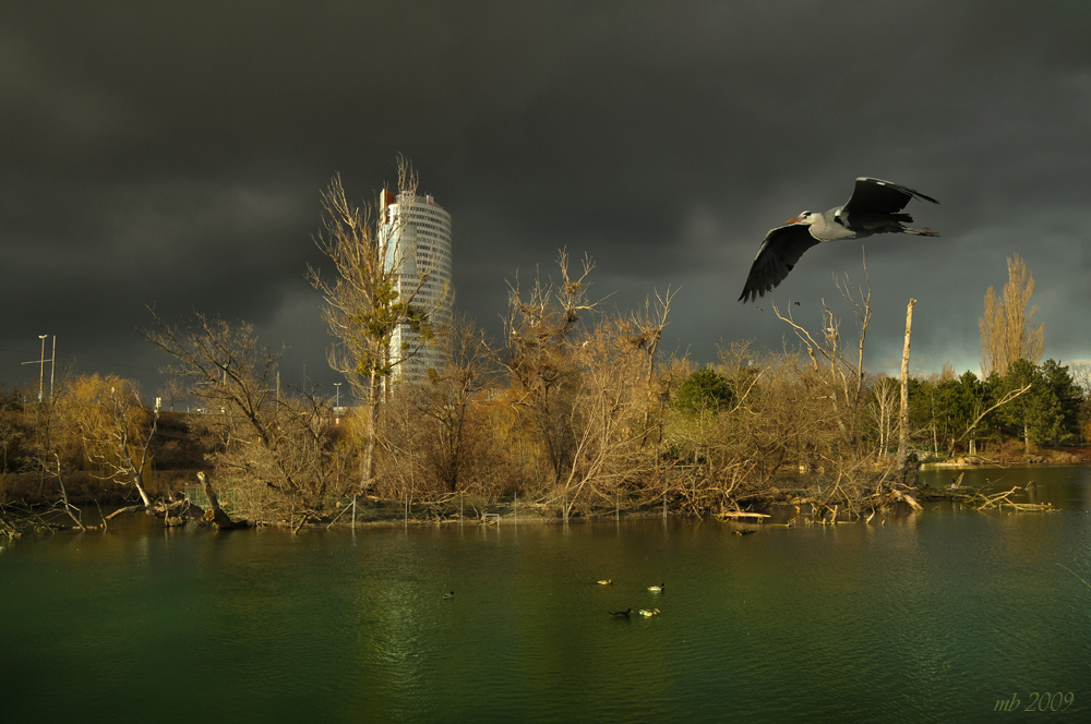 Wasserpark in Wien