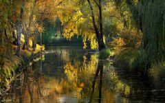 Wasserpark in Wien