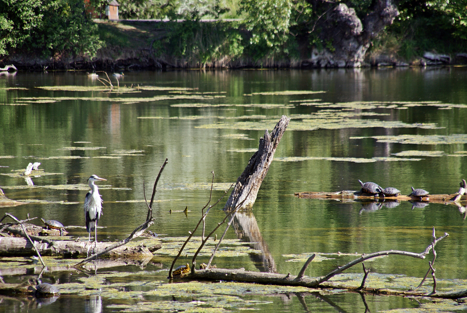 Wasserpark in Wien