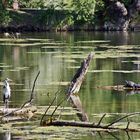 Wasserpark in Wien