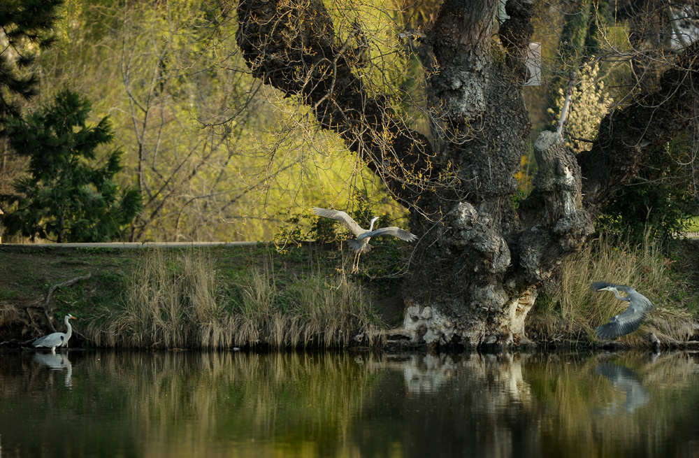 Wasserpark in Wien2