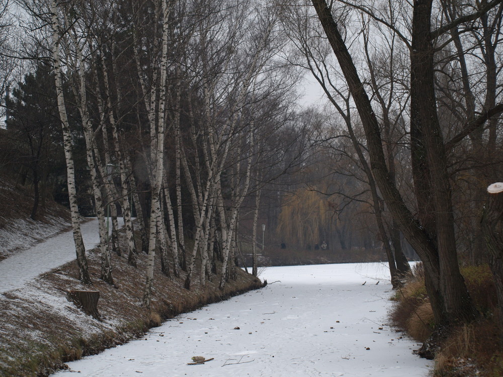 Wasserpark/ Winter Wien