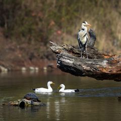 Wasserparkimpressionen