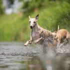 ...Wasserparty...