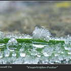 Wasserperle mit Eiskristallen