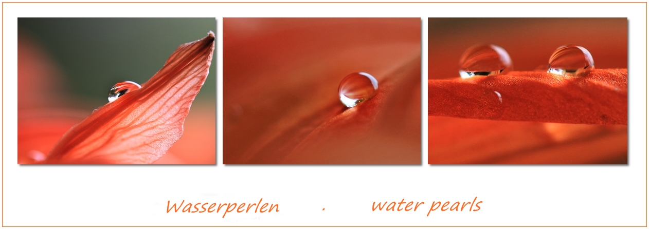 Wasserperlen