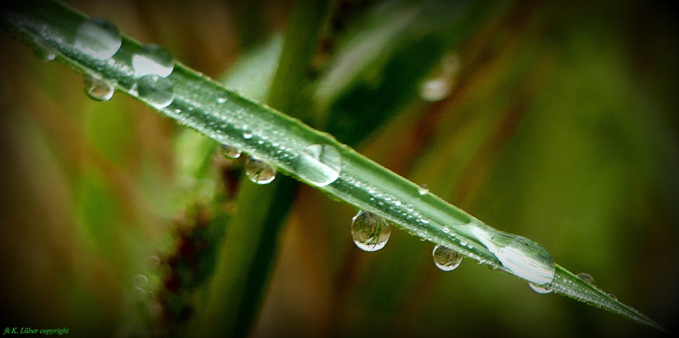 Wasserperlen