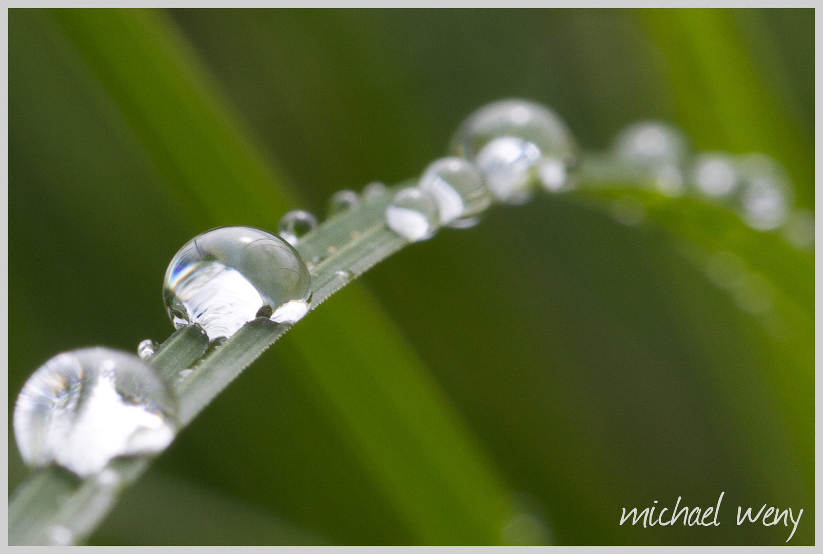 Wasserperlen