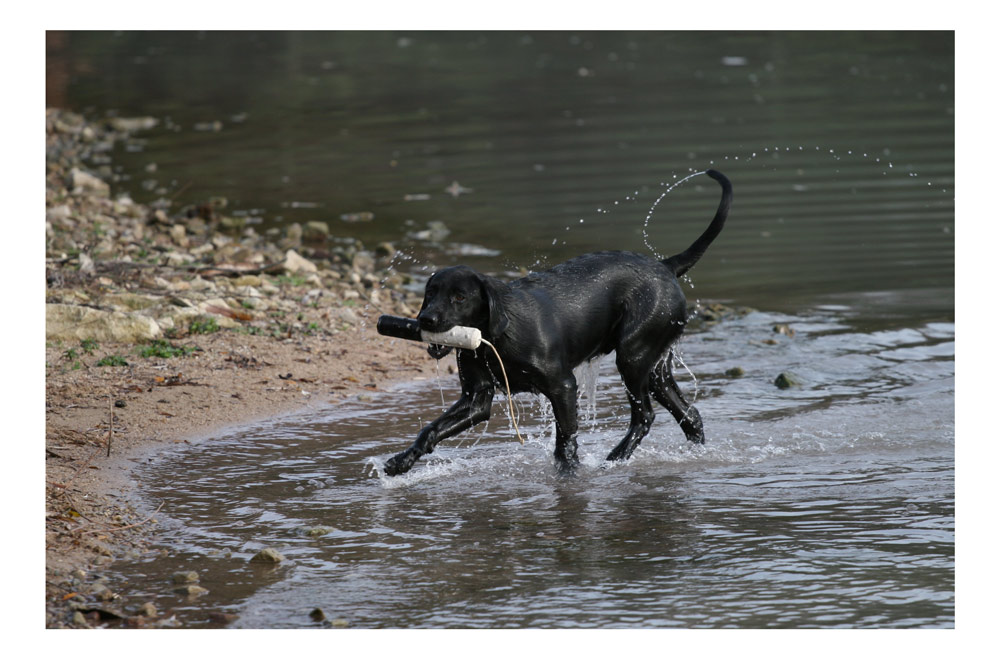 Wasserperlen