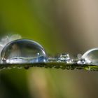 Wasserperlen - in Blau gefasst