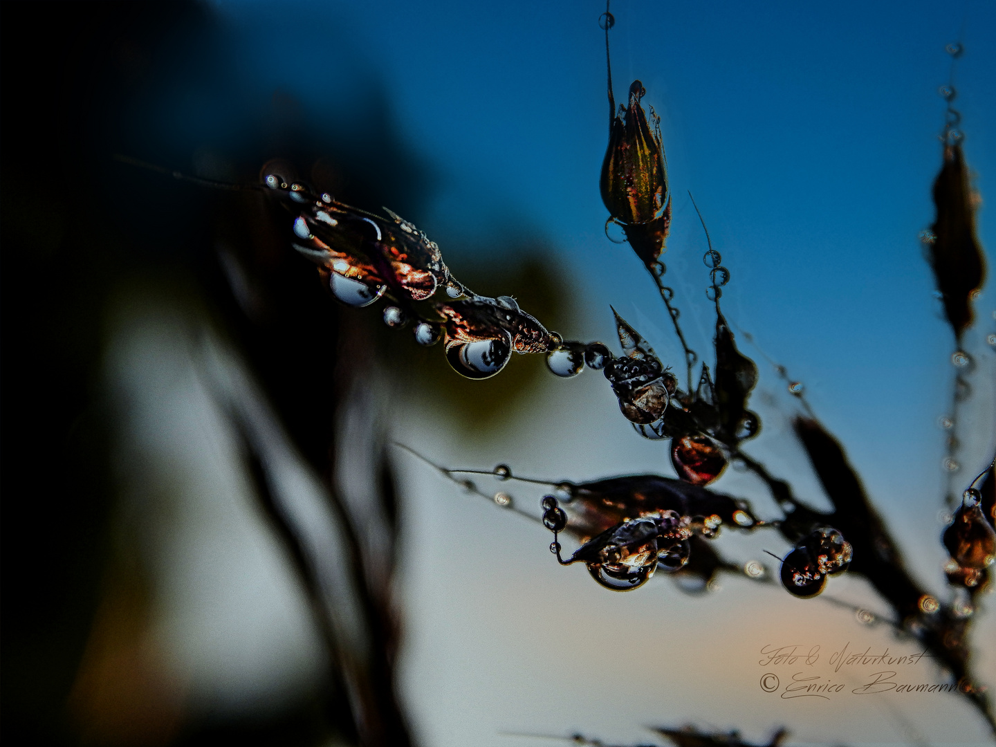 Wasserperlenschmuck