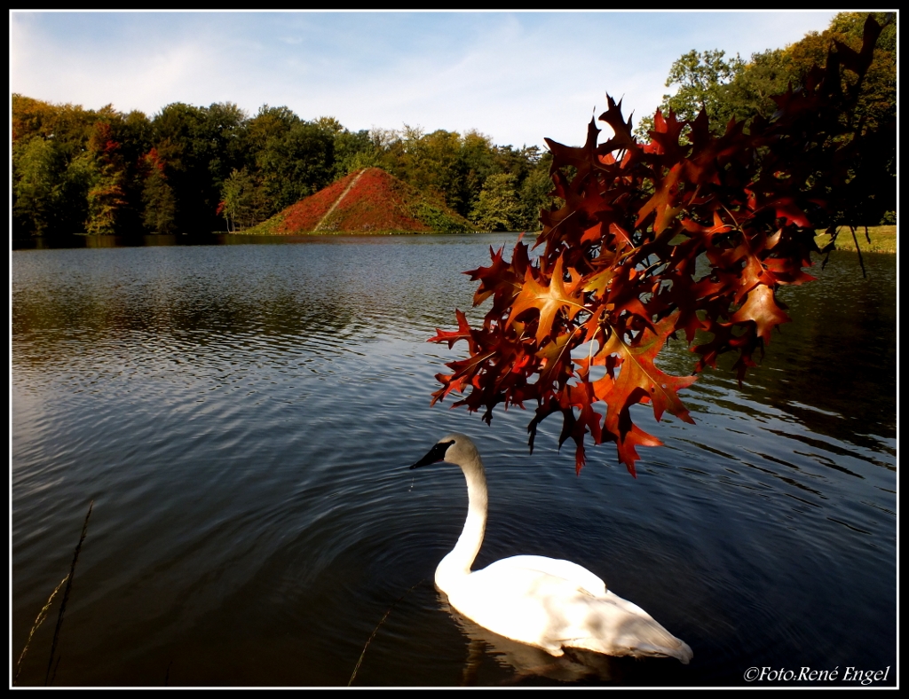 Wasserpyramide im Branitzer Park