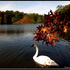 Wasserpyramide im Branitzer Park