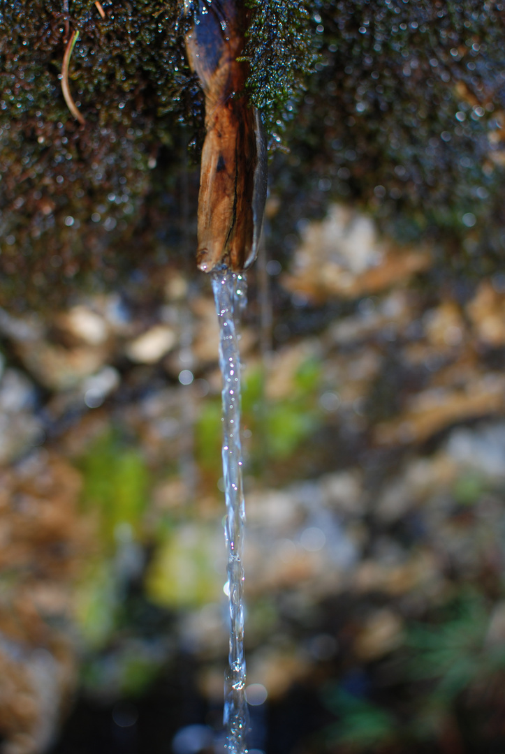 Wasserquelle