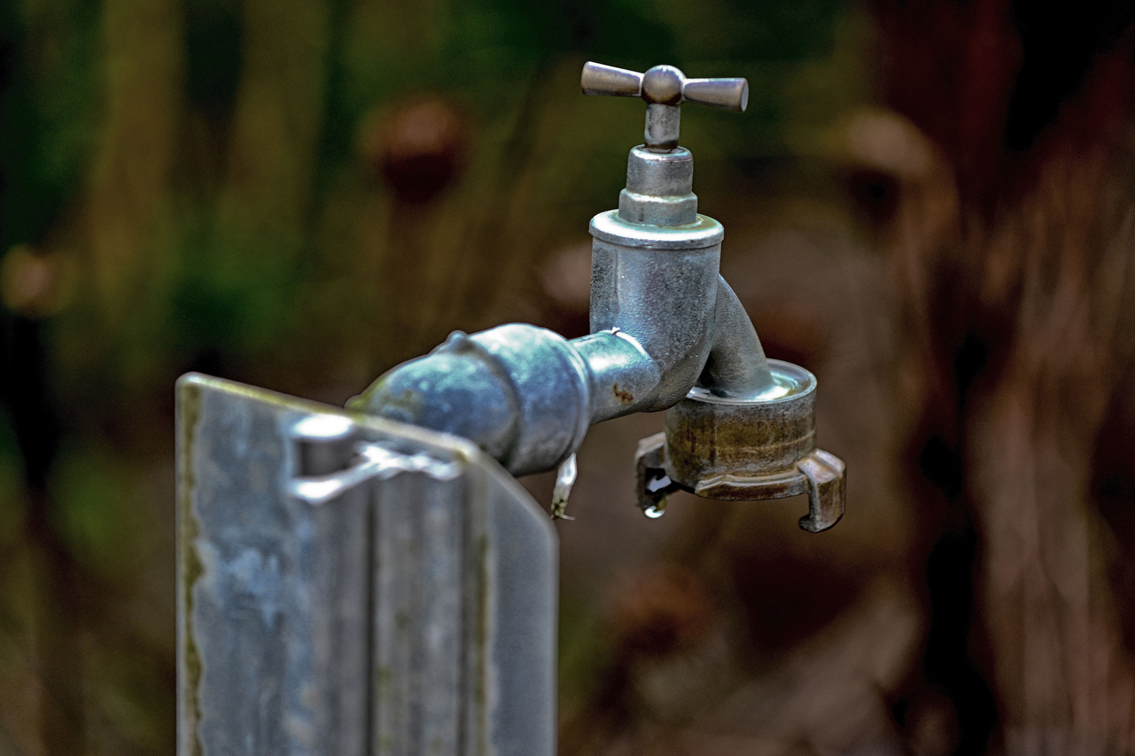 Wasserquelle im Garten