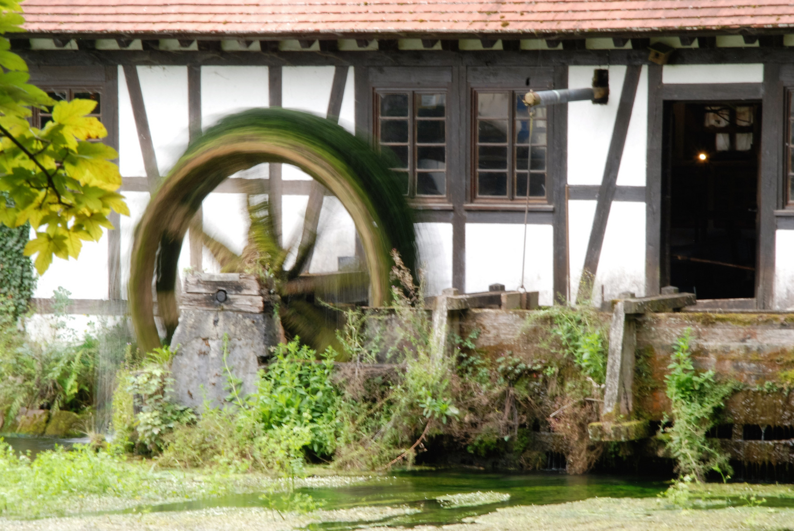 Wasserrad am Blautopf