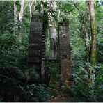 Wasserrad im Urwald