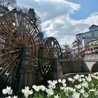 Wasserräder in Lijiang