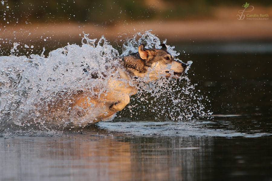 Wasserrakete