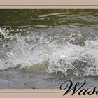 Wasserratte