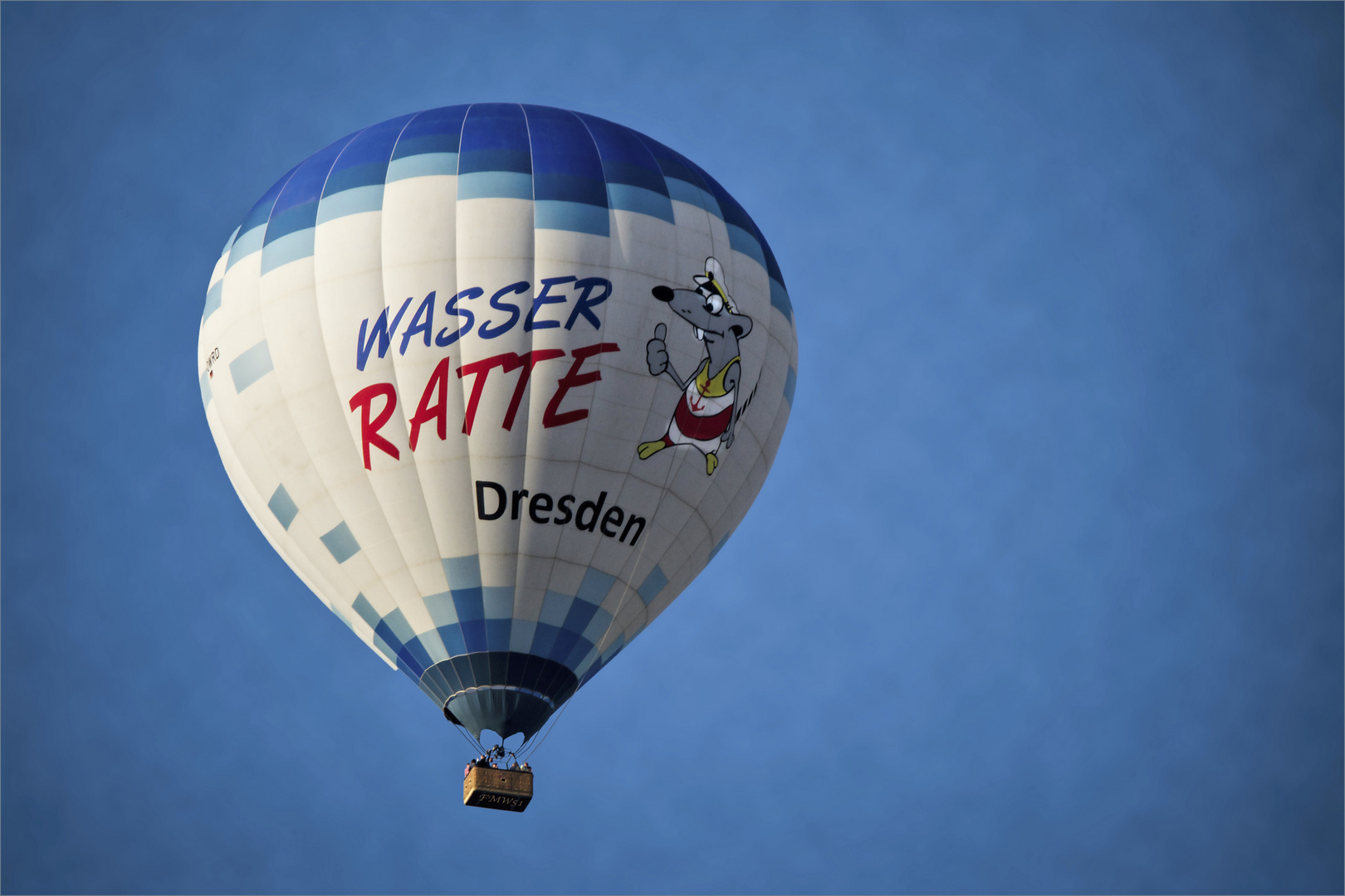 Wasserratte Dresden