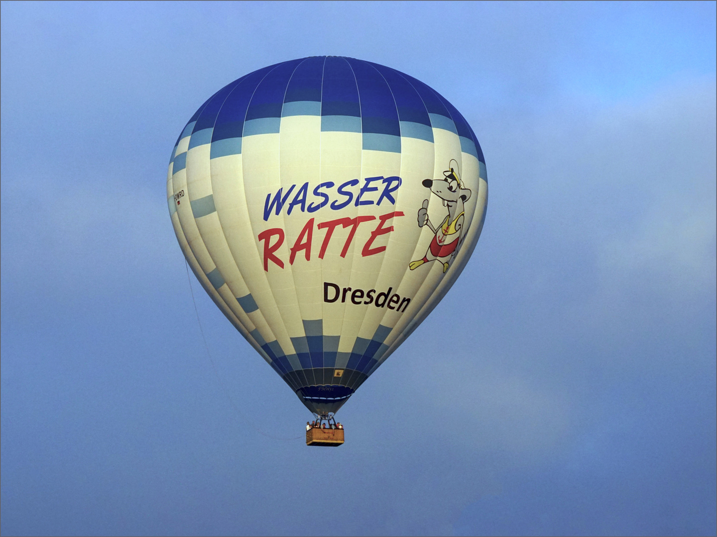 Wasserratte Dresden