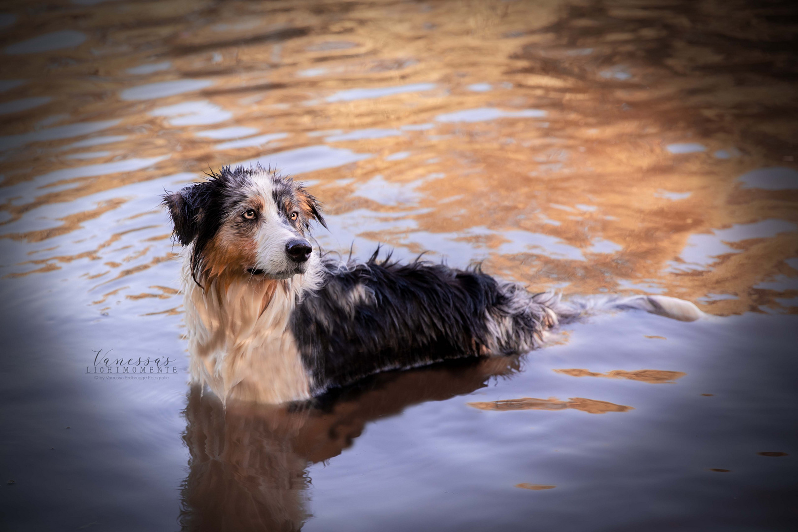 Wasserratte? Nein.