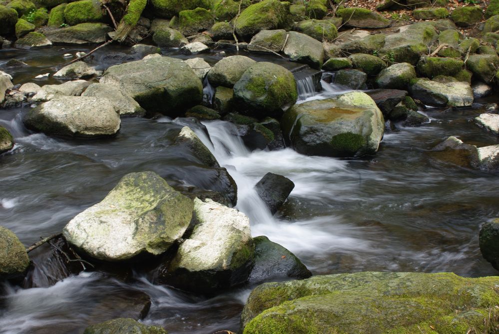 Wasserrauschen in der Holzbachschlucht im Westerwald von quadro13 