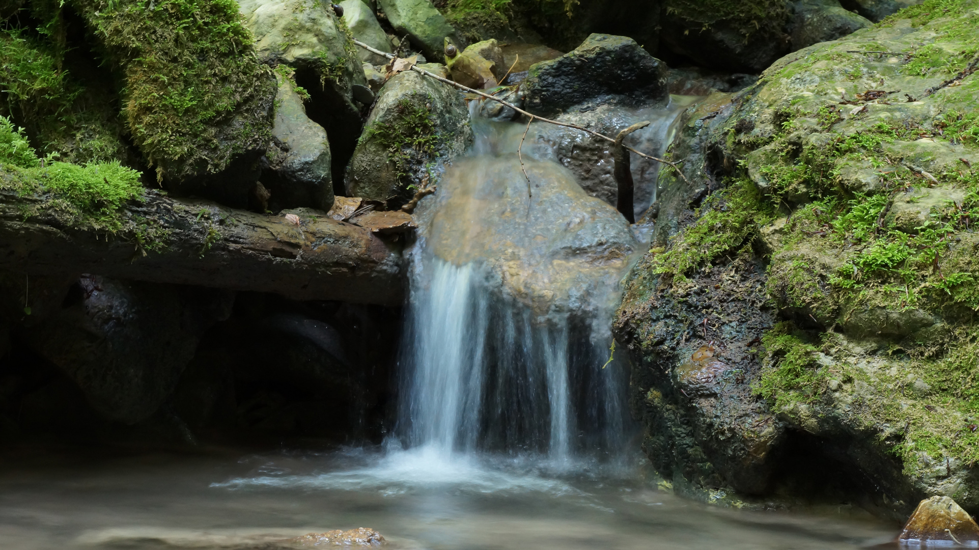 Wasserrausen