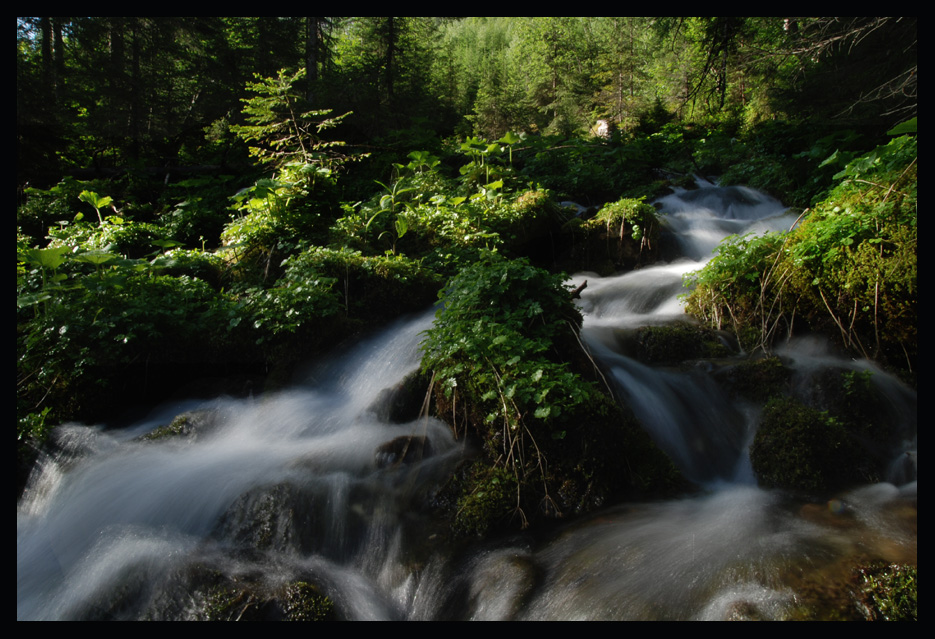 Wasserreich