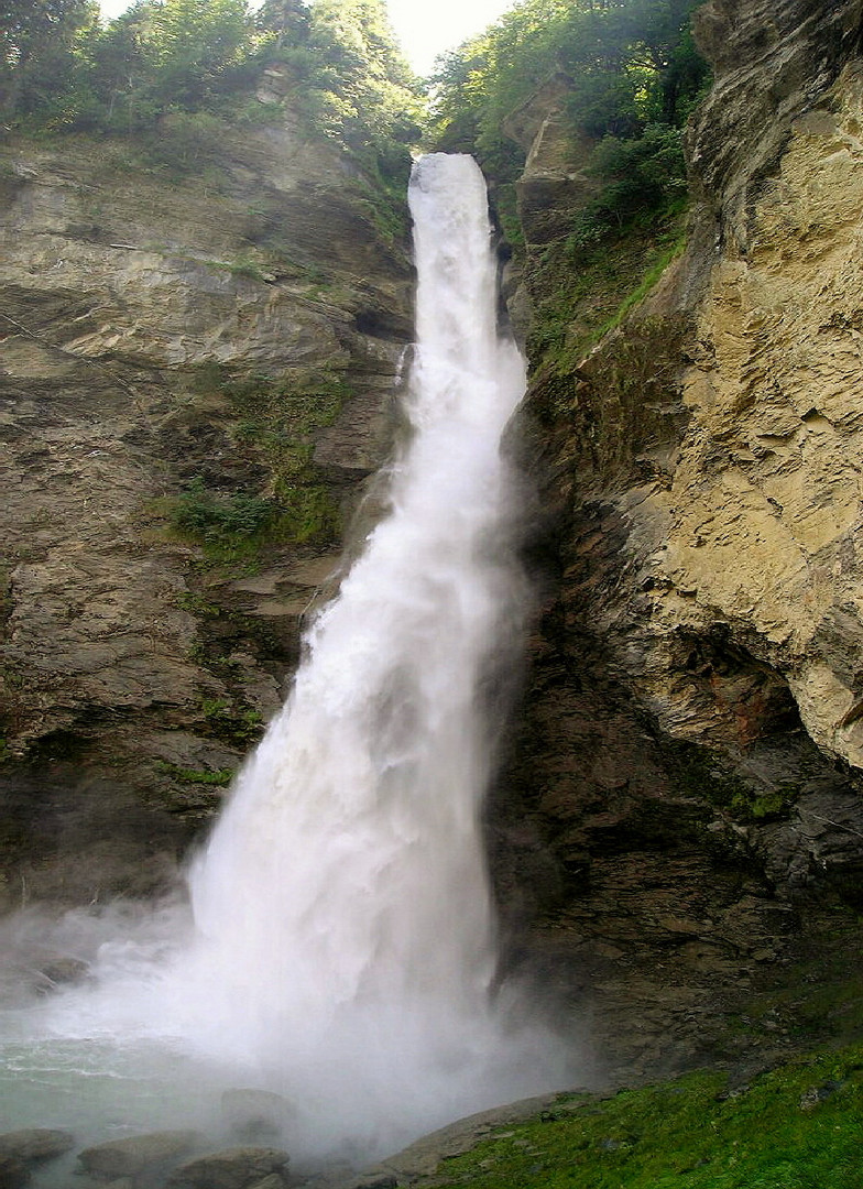 Wasserreich