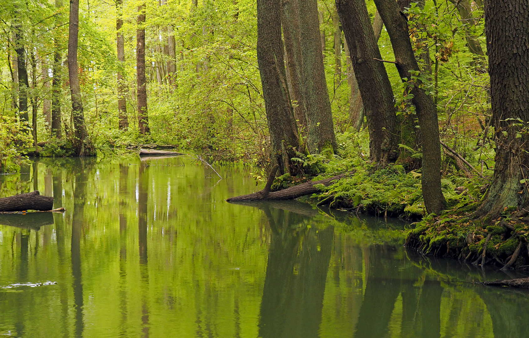 wasser.reich