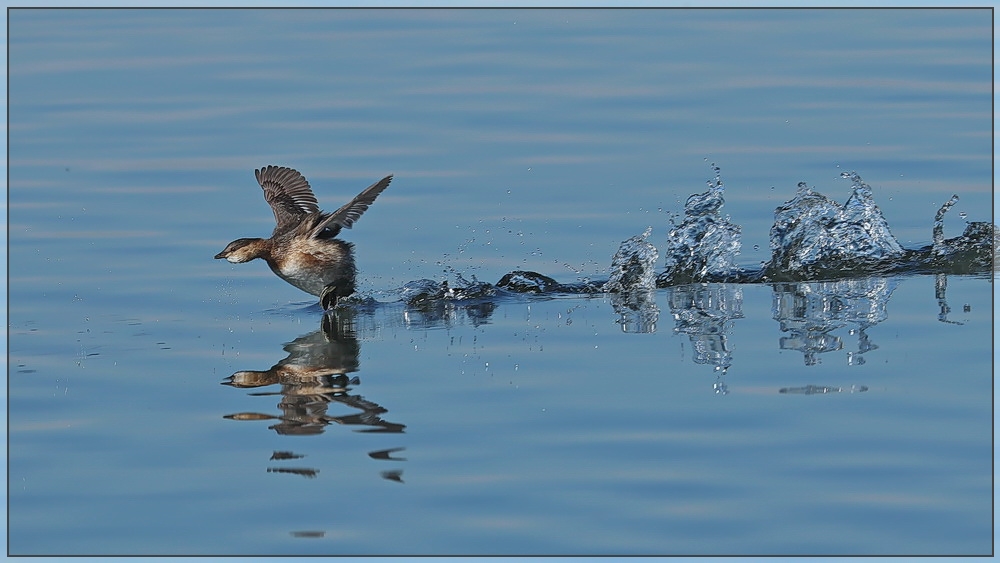 Wasserrennen