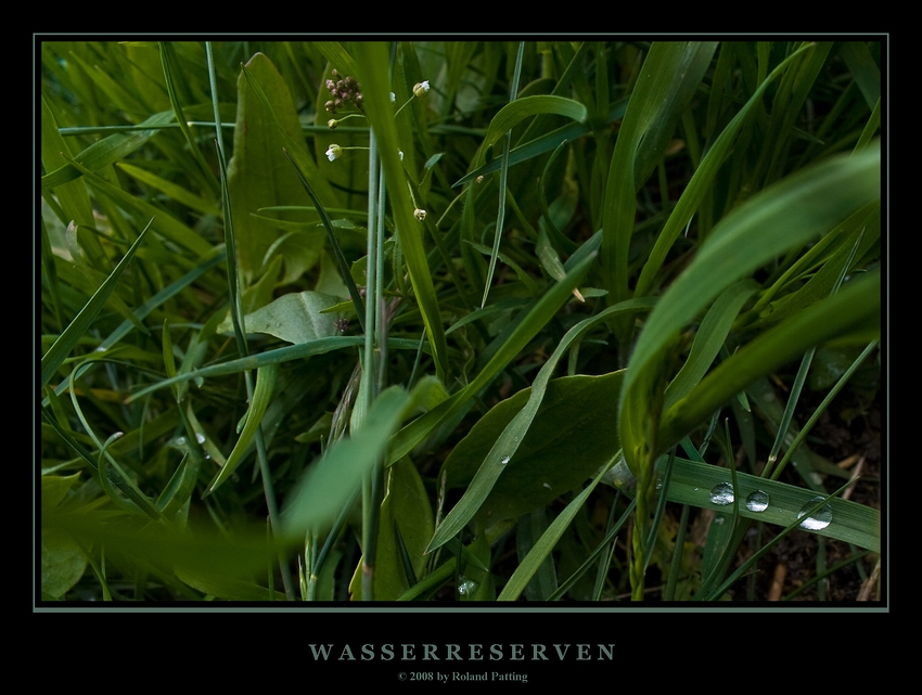 Wasserreserven