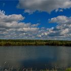 Wasserreservoir in den Obstplantagen im Alten Land