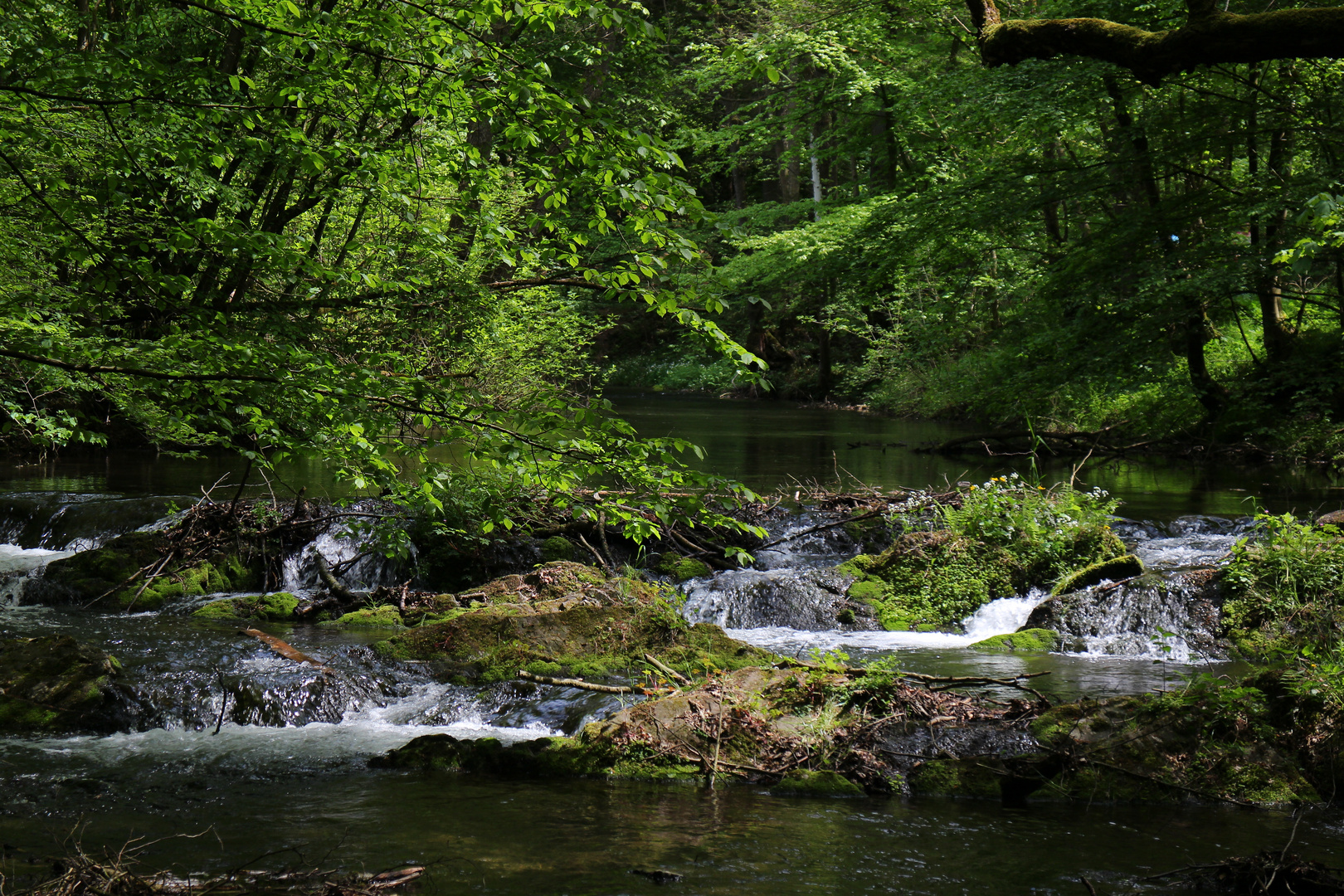 Wasserroute am Altenberger Dom