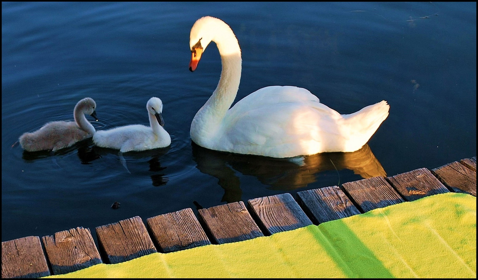 Wasserrunde