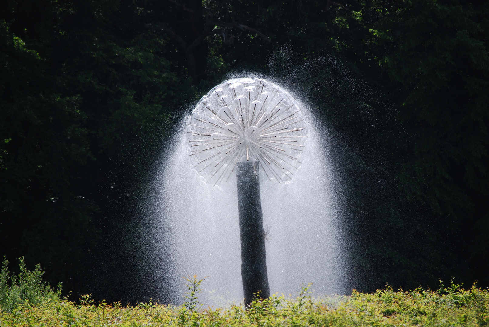 Wassersäule....