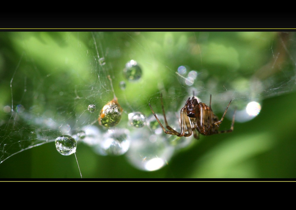 Wasserschaden...