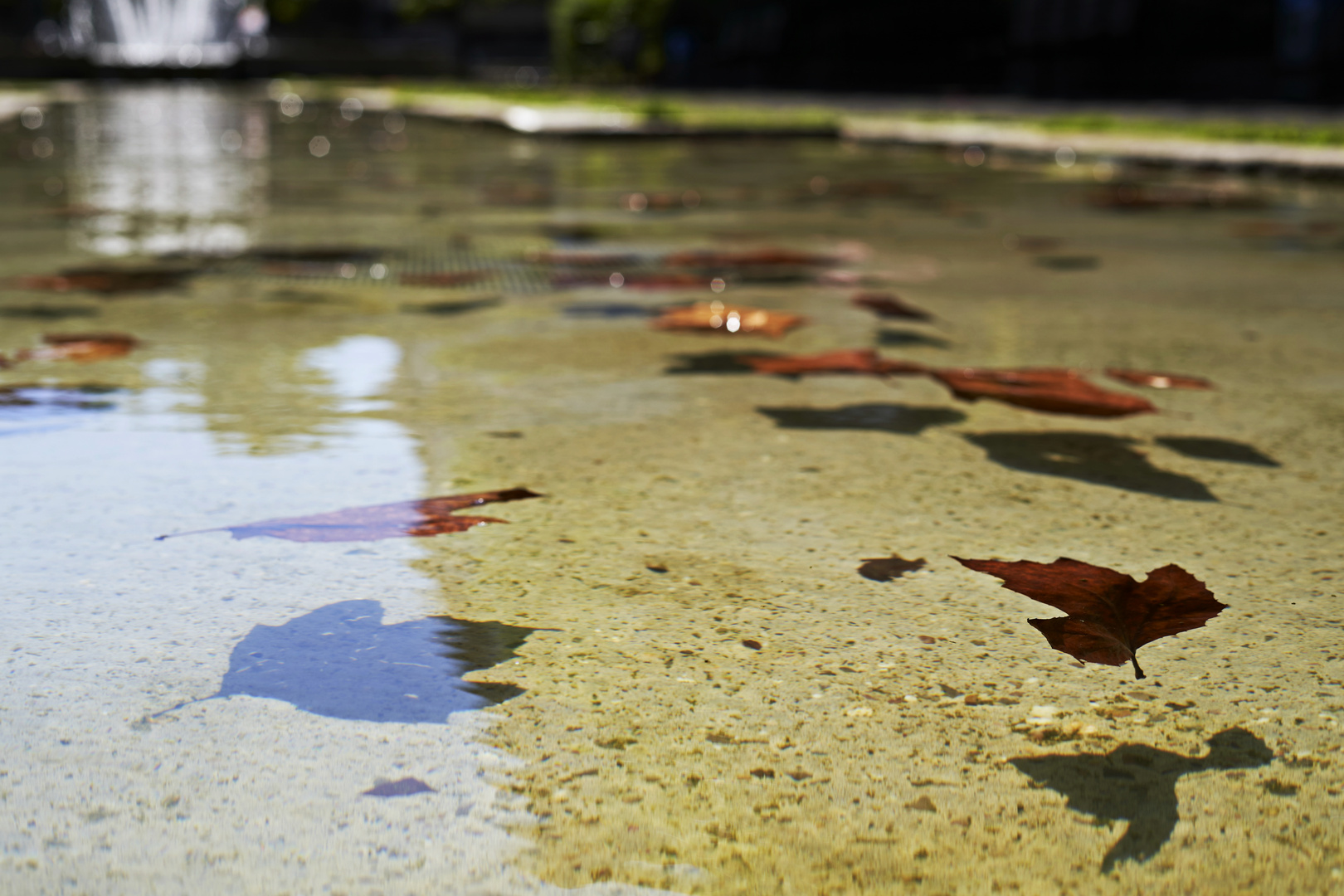 Wasserschatten 