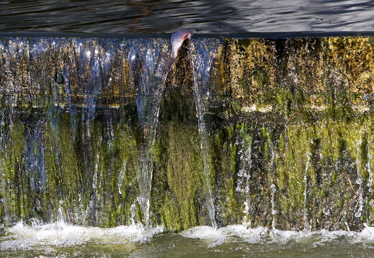 Wasserscheide