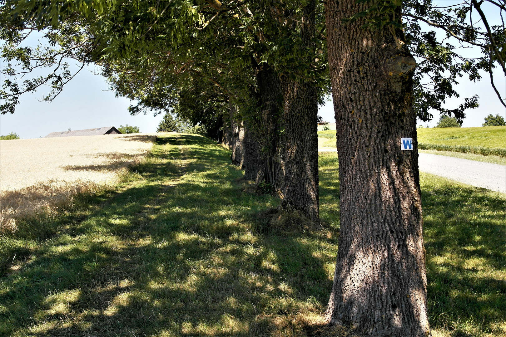 Wasserscheideweg zur Mittagszeit