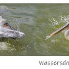 Wasserschlacht