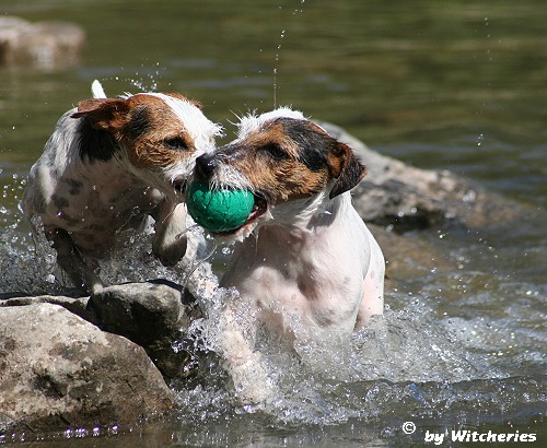 Wasserschlacht um den Ball