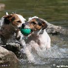 Wasserschlacht um den Ball