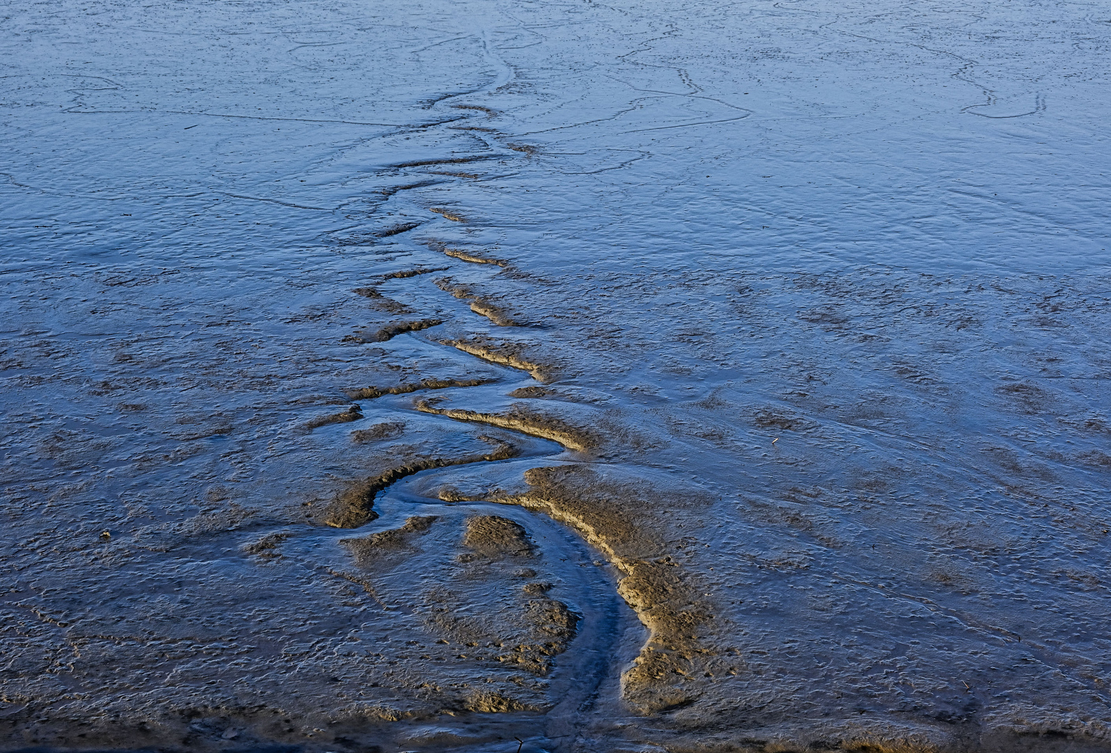 Wasserschlange