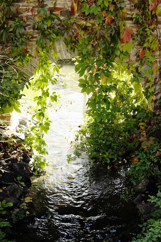 Wasserschloß Klaffenbach "Bacheinlauf"