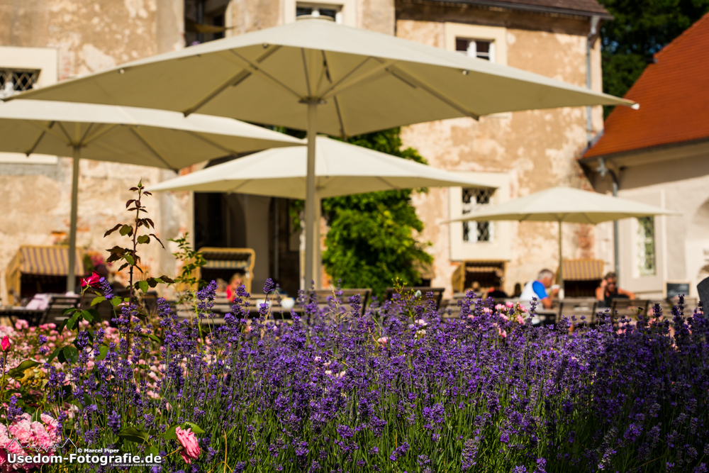 Wasserschloss Mellenthin 15.07.2013