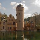 Wasserschloss Mespelbrunn mit Schwan in Farbe