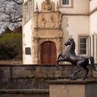 Wasserschloss mit dem Rappen